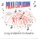 Fritz Willfahrt Orchestra - Polka Explosion